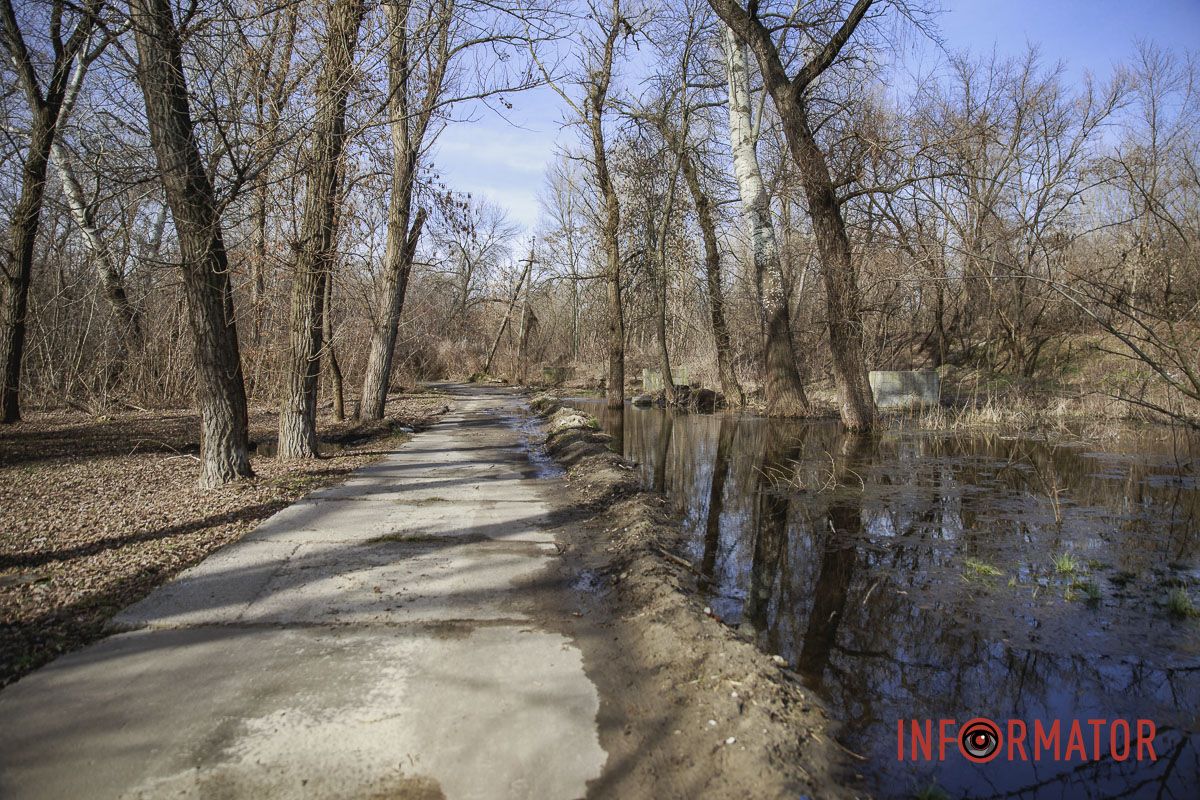 Вода льется прямо из коллектора на въезде со стороны Мануйловского проспекта Вода льется прямо из коллектора на въезде со стороны Мануйловского проспекта