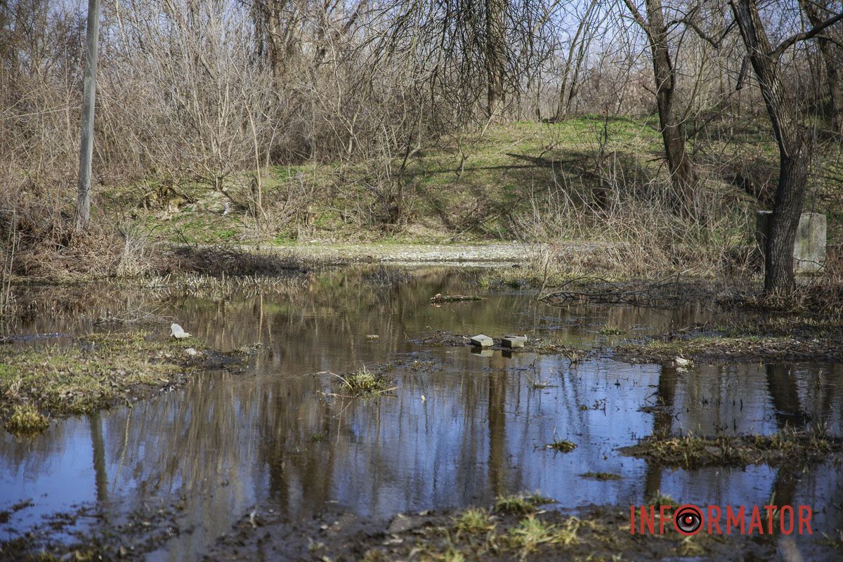 Но никто ничего не сделал Но никто ничего не сделал
