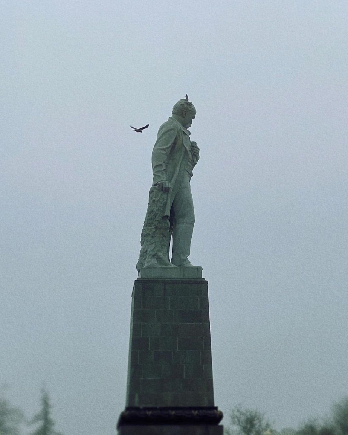 Фото: @alena_prihodkoo