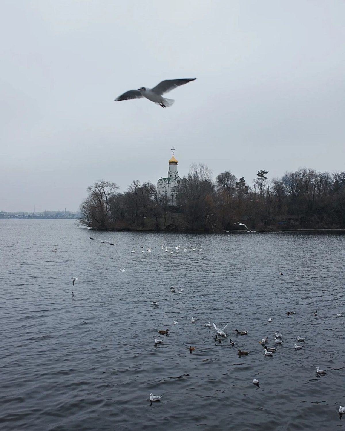 Фото: @_artem_voloshyn_