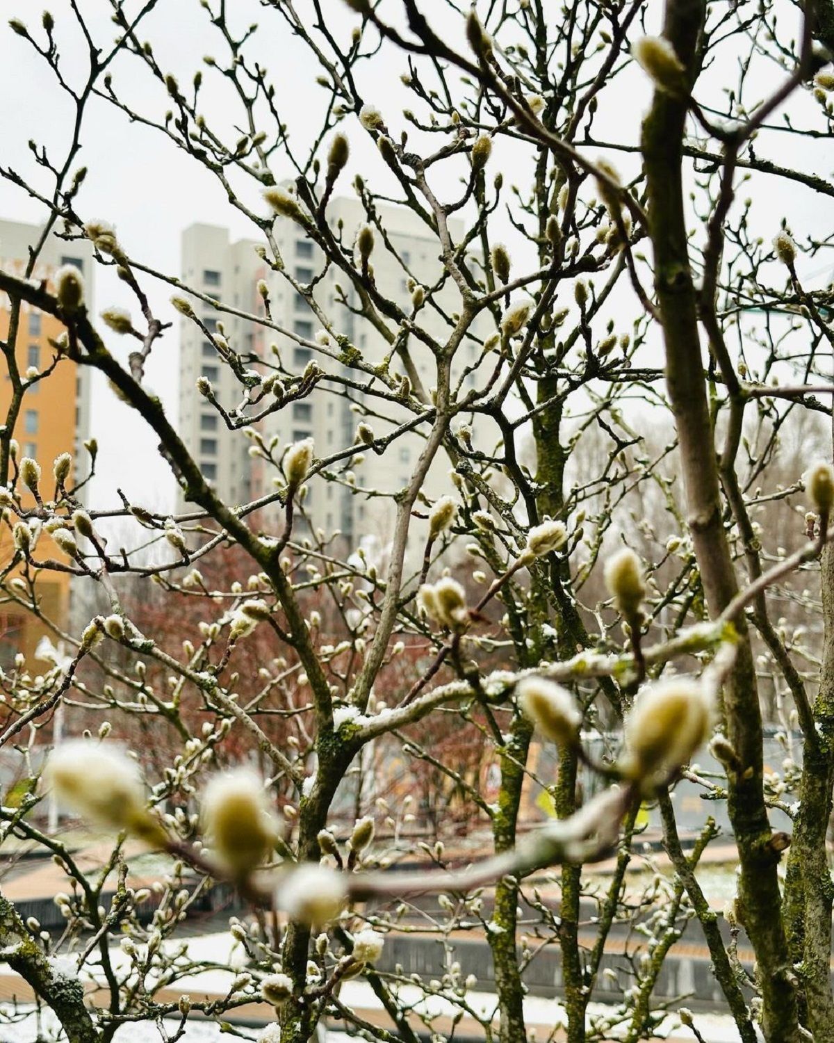 Фото: @oksana_stash