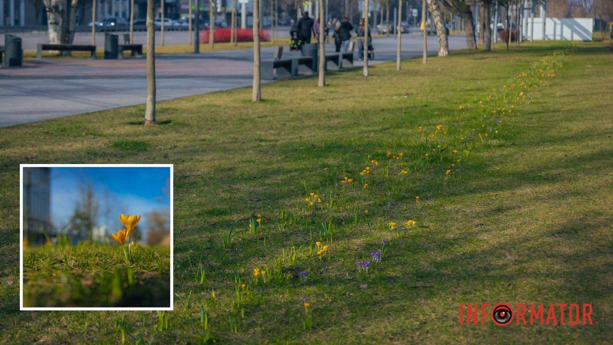 Погода на 27 лютого: у Дніпрі буде слабка хмарність