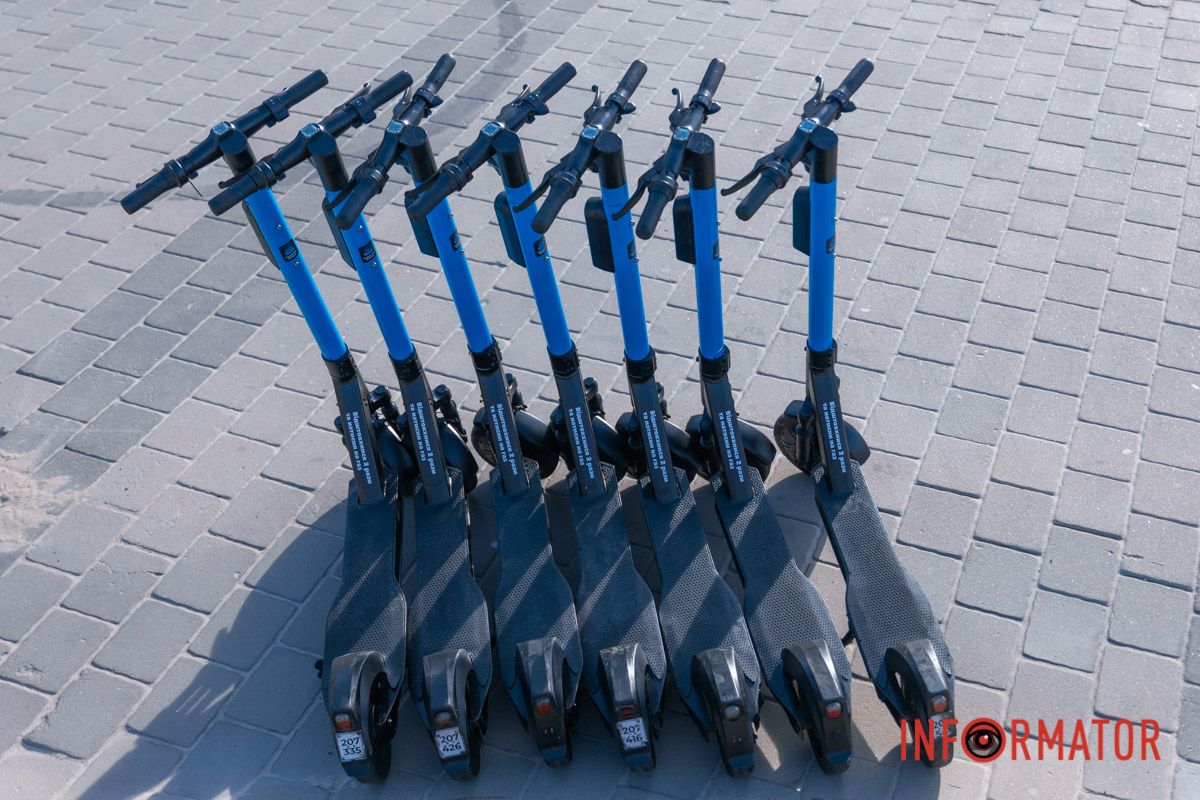 Вони повернулися після холодів 