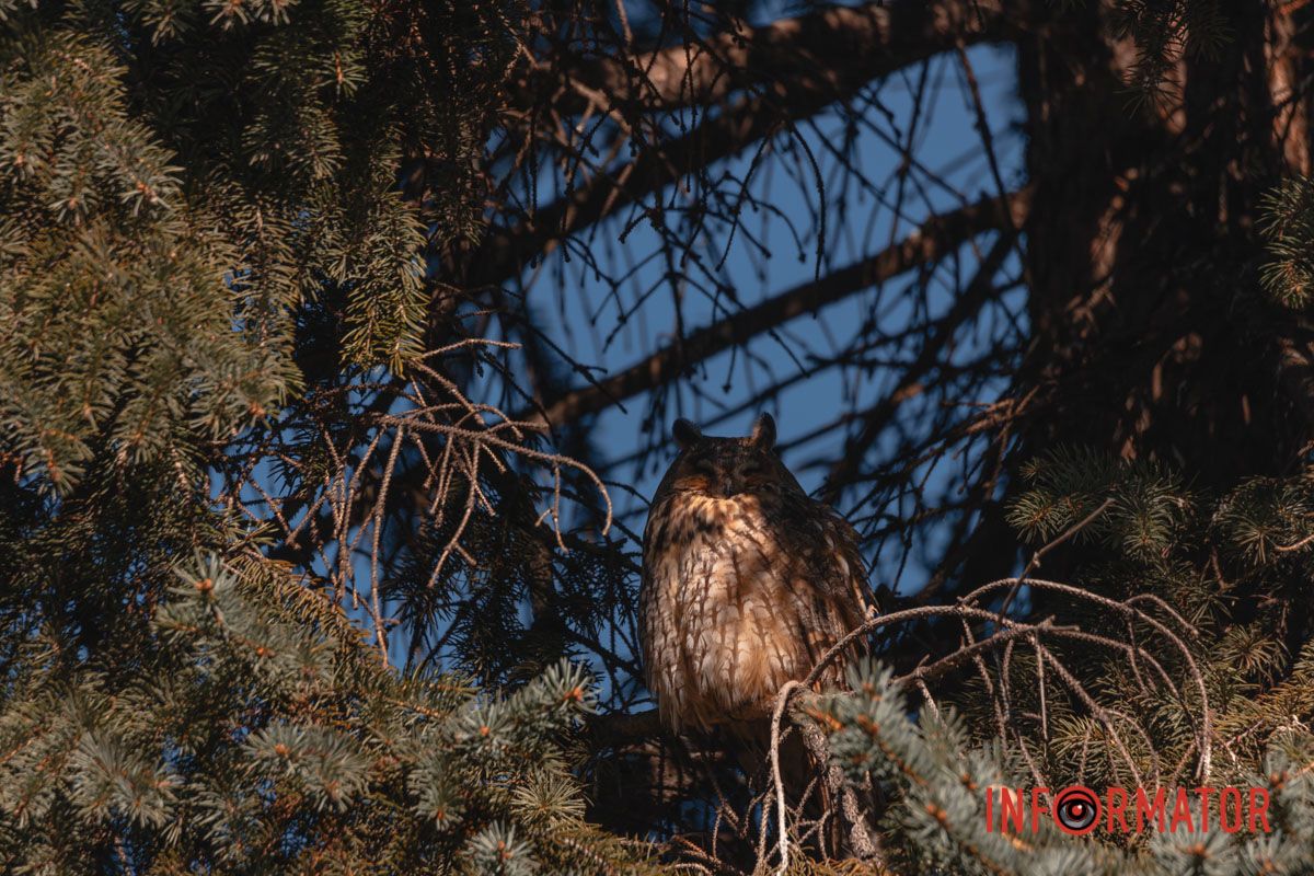 Фото: Денис Чубченко, Стас Руденко
