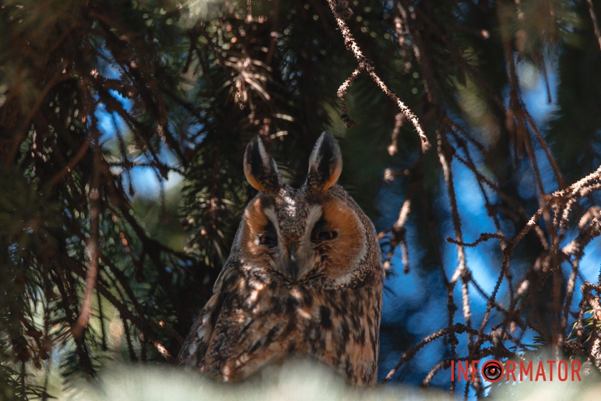 Живут здесь уже не первый год