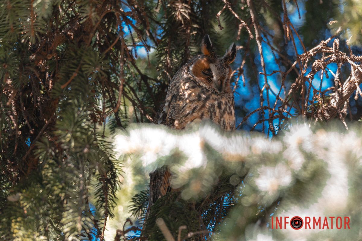 Маскирование на самом высоком уровне