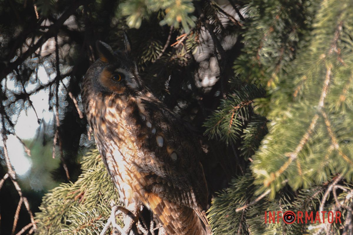 Если не присматриваться – почти не видно
