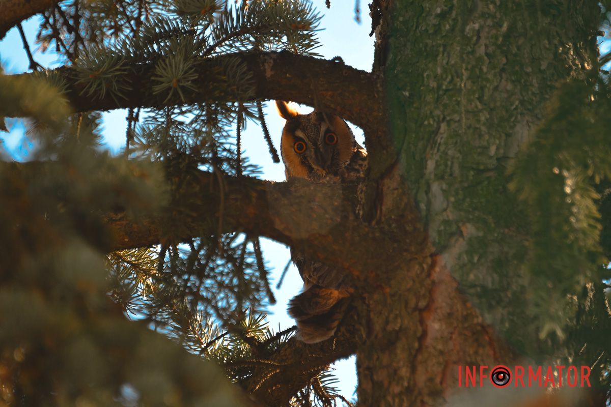 Кажется, нас заметили