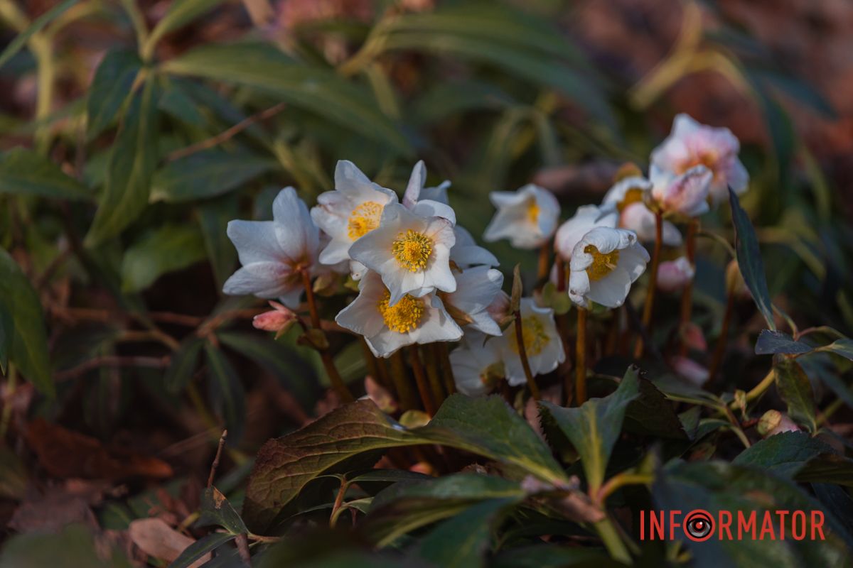 Первый день весны в Днепре