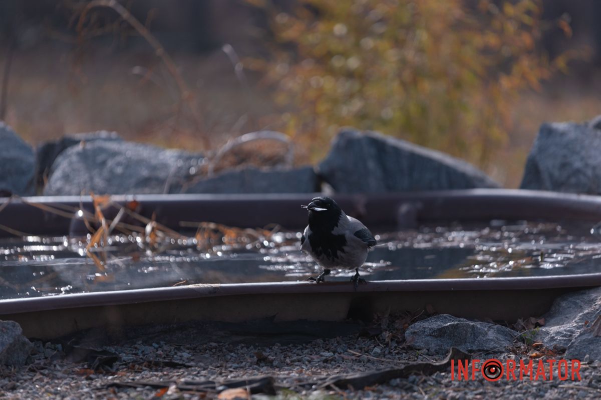 Выглядит угрожающе