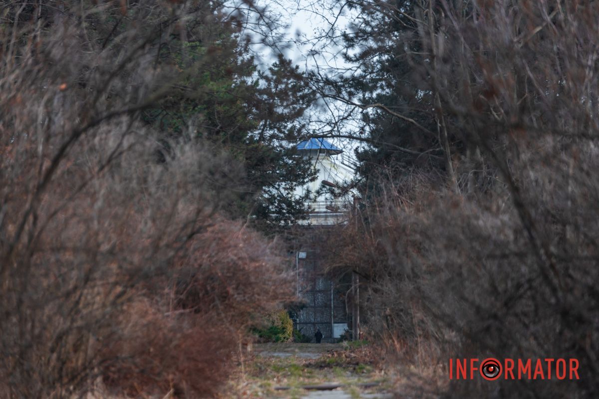 Оранжерея "сохранилась"