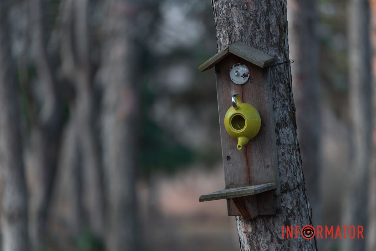 Необычная кормушка