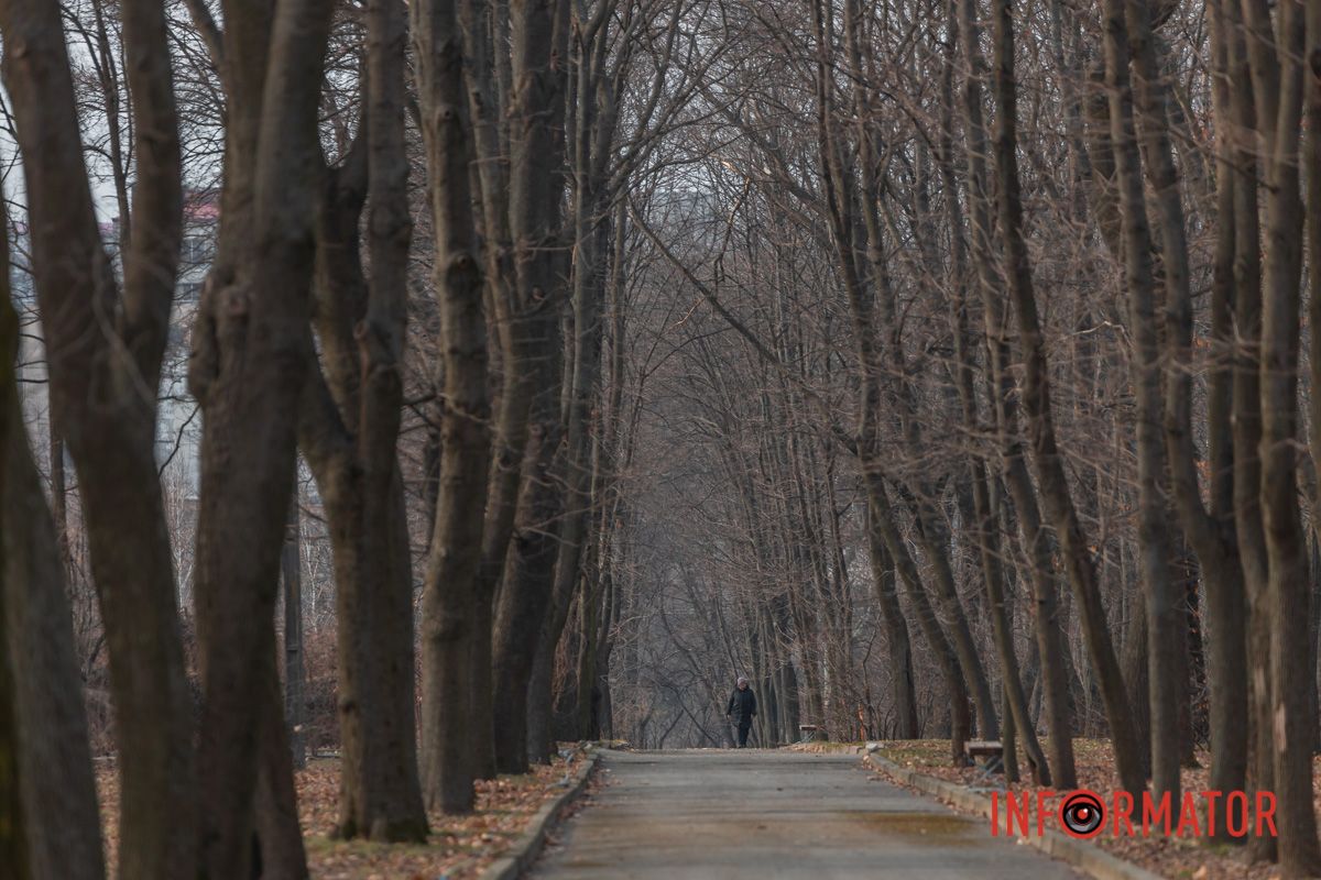 Посетителей почти нет