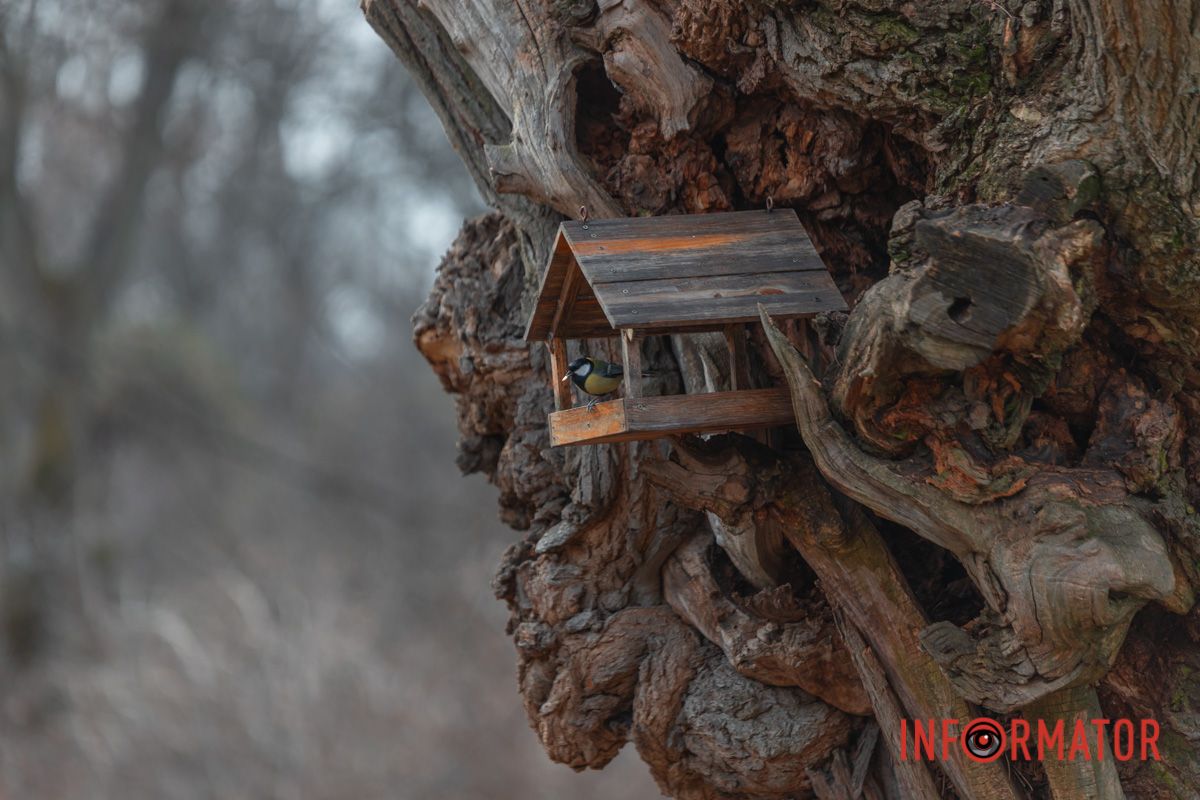 Почти срослись