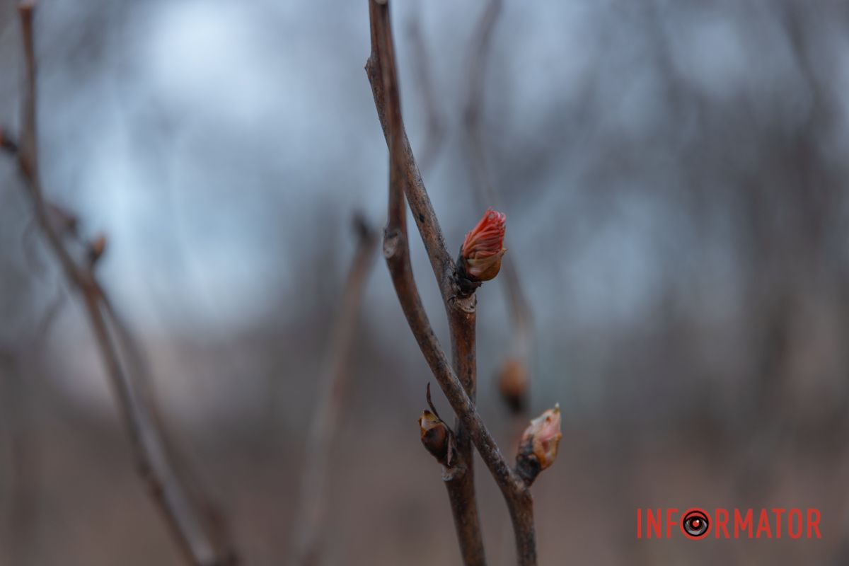 Уже скоро здесь будет разноцветие цветов