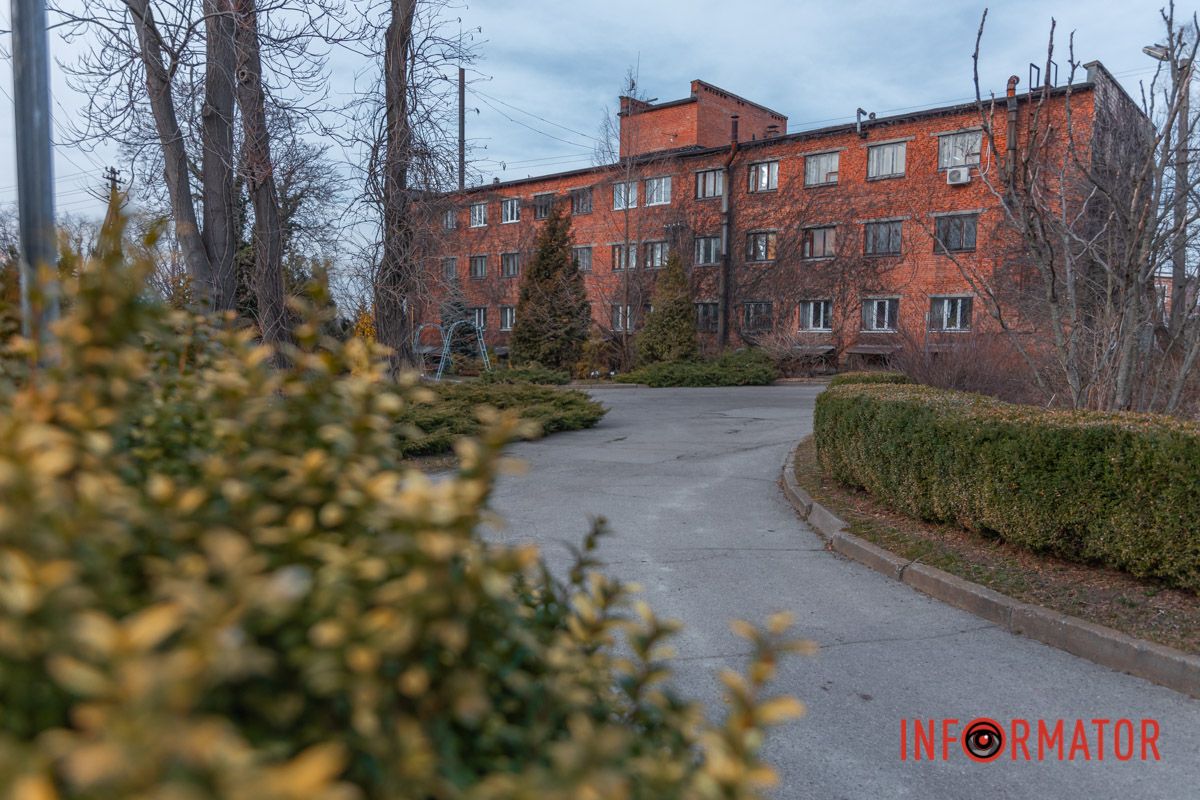 Деревья и кусты постепенно оживают, снова наполняя сад своей зеленью