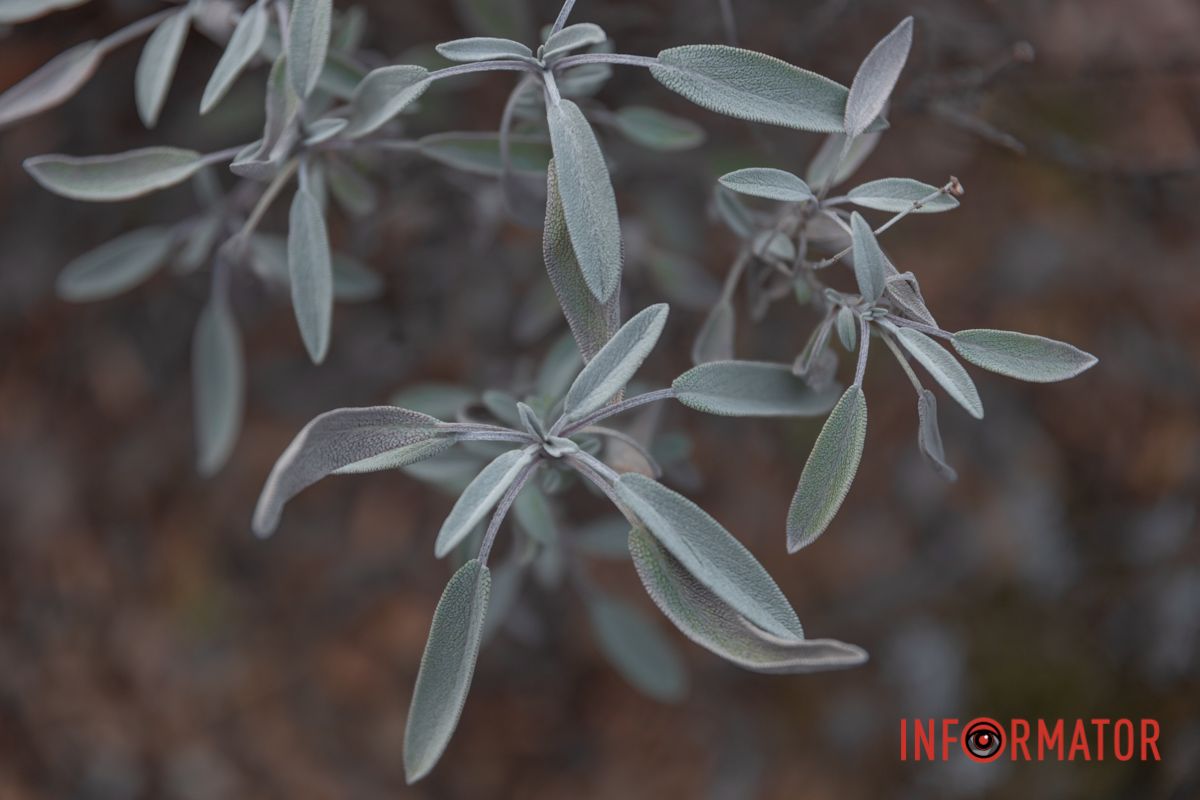 Вход с улицы Бронетанковой, 1а