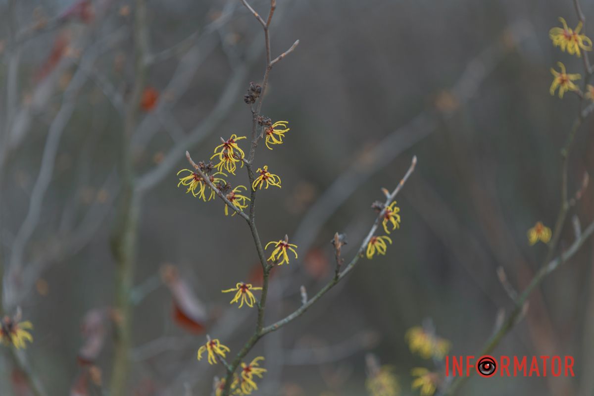 Солнце нежно пробивается сквозь ветви деревьев