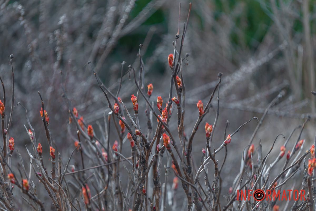 Стоимость входных билетов для взрослых - 45 грн