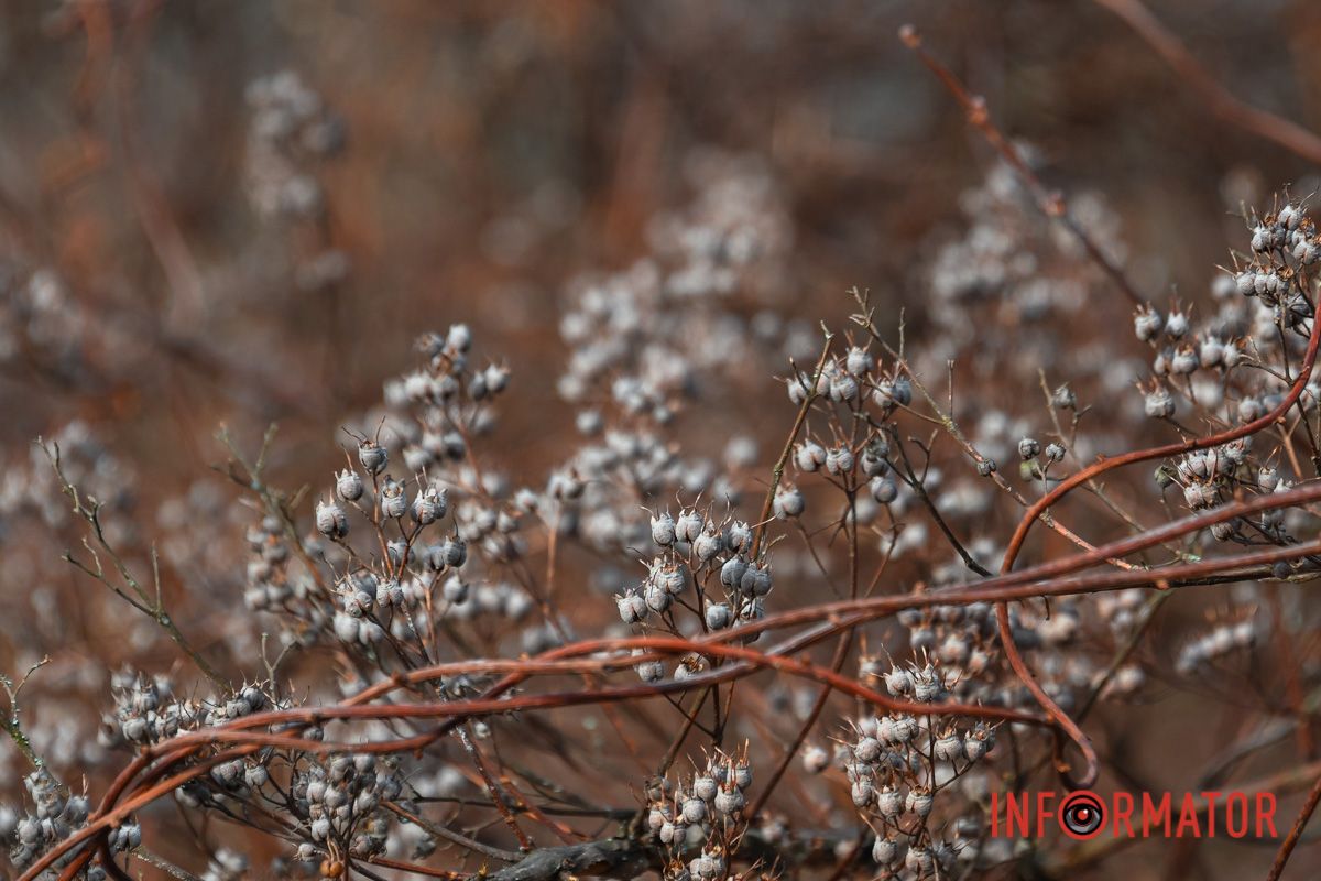 Под первыми лучами весеннего солнца