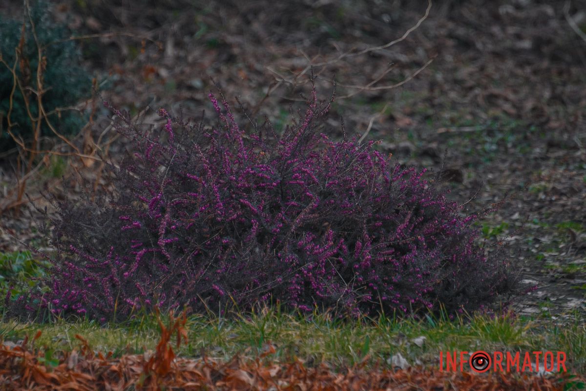 Аромат цветов и трав наполняет воздух