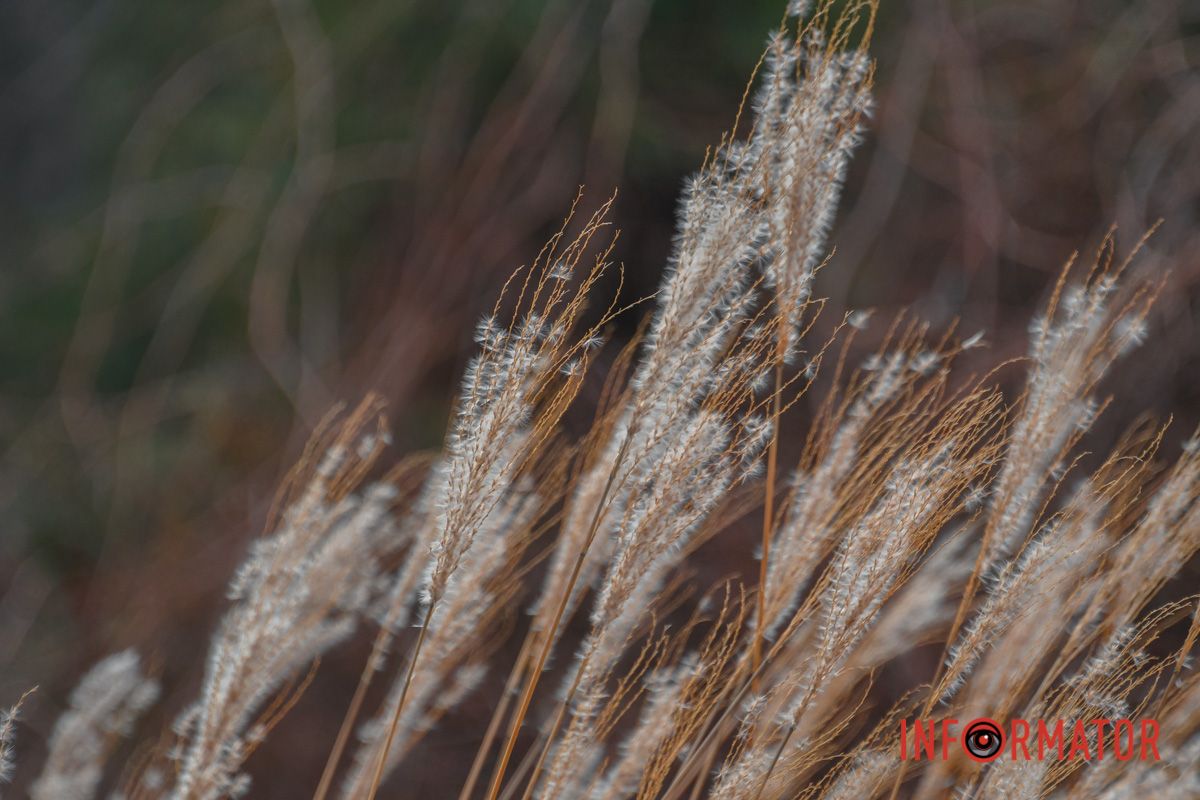 Детям до 7 лет вход бесплатный