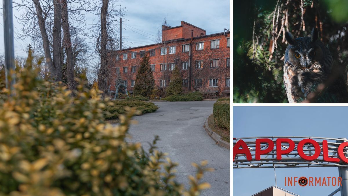 Первый день весны в Днепре, семья сов и открытие Appolo: топ хороших новостей недели