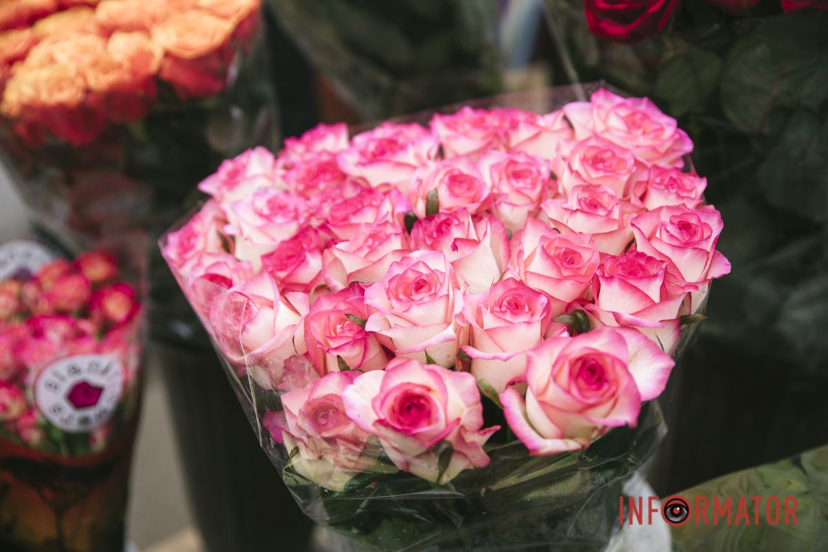 Одна розовая роза стоит 100 гривен