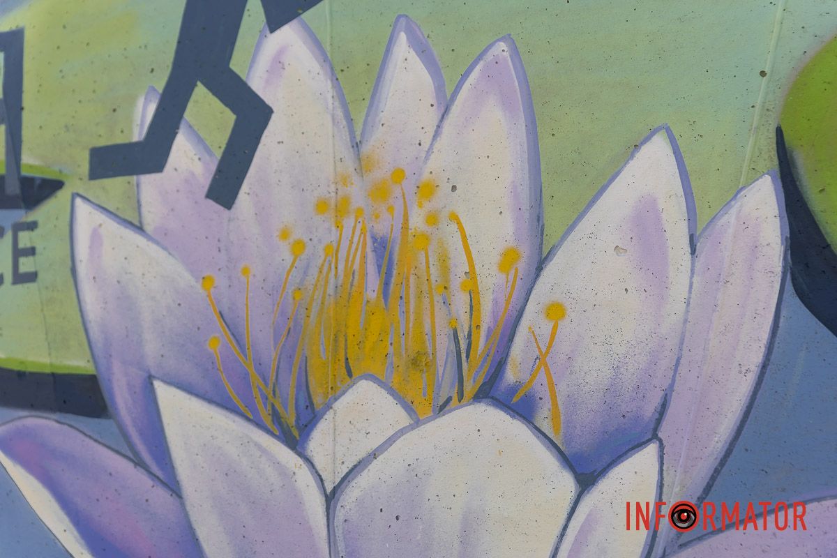 Фото: Дмитрий Федоров Фото: Дмитрий Федоров