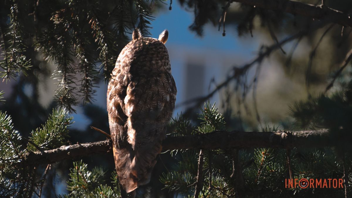 Мрачно и до +8 на термометре: какой будет погода в Днепре 12 марта