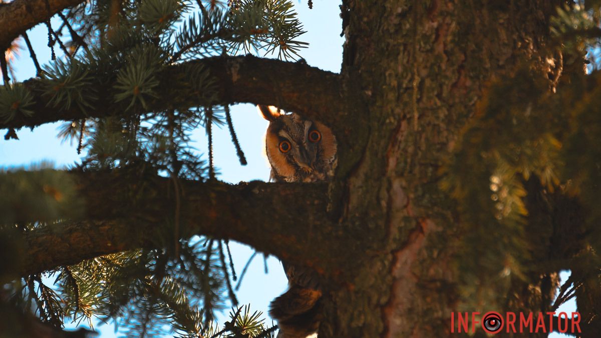 Вторник встретит днепрян облачным небом: прогноз погоды на 12 марта