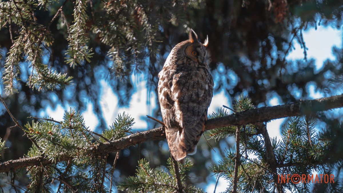 До +10 на термометре: какой будет погода в Днепре 17 марта