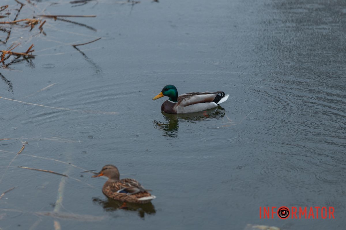 Информатор решил посмотреть, как эта зеленая зона выглядит сейчас