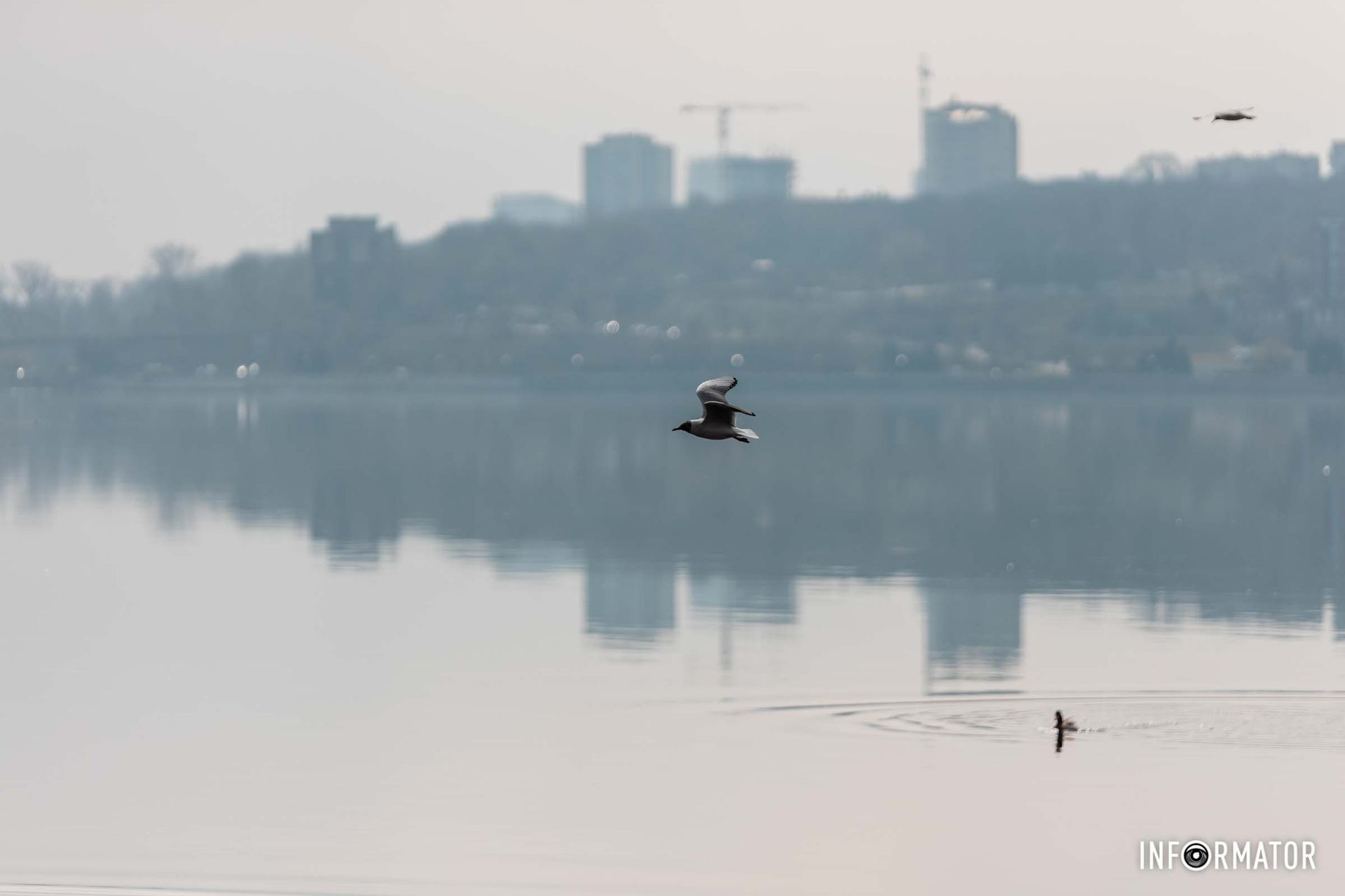 Полный штиль видим на реке Днепр Полный штиль видим на реке Днепр