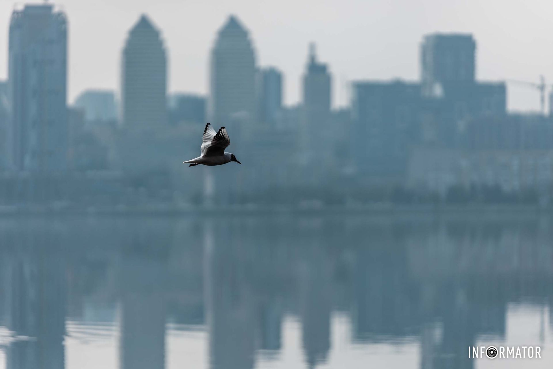 К Днепру пришла настоящая весна К Днепру пришла настоящая весна