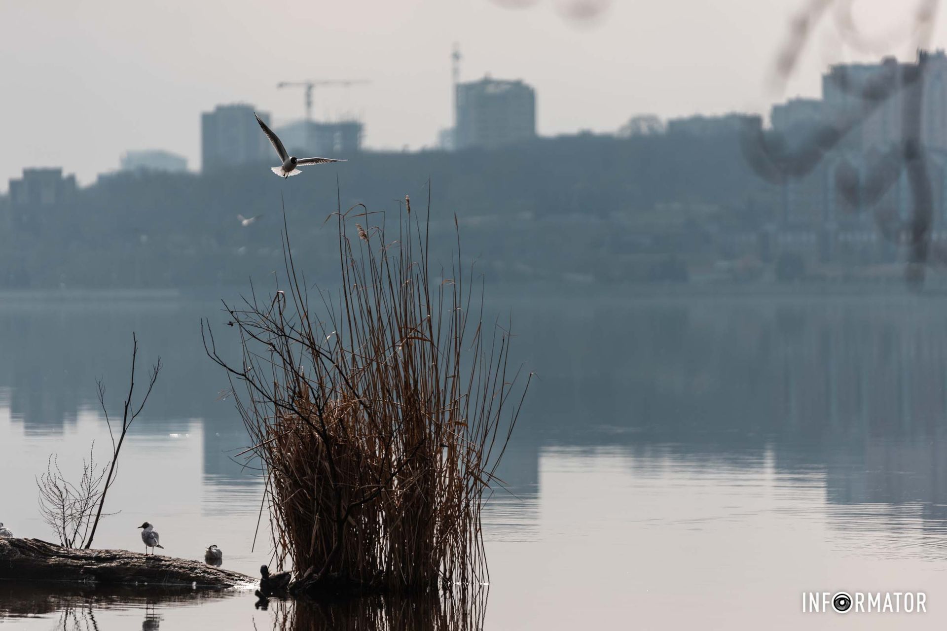 Небосяги постоянно достраиваются в этом месте Небосяги постоянно достраиваются в этом месте