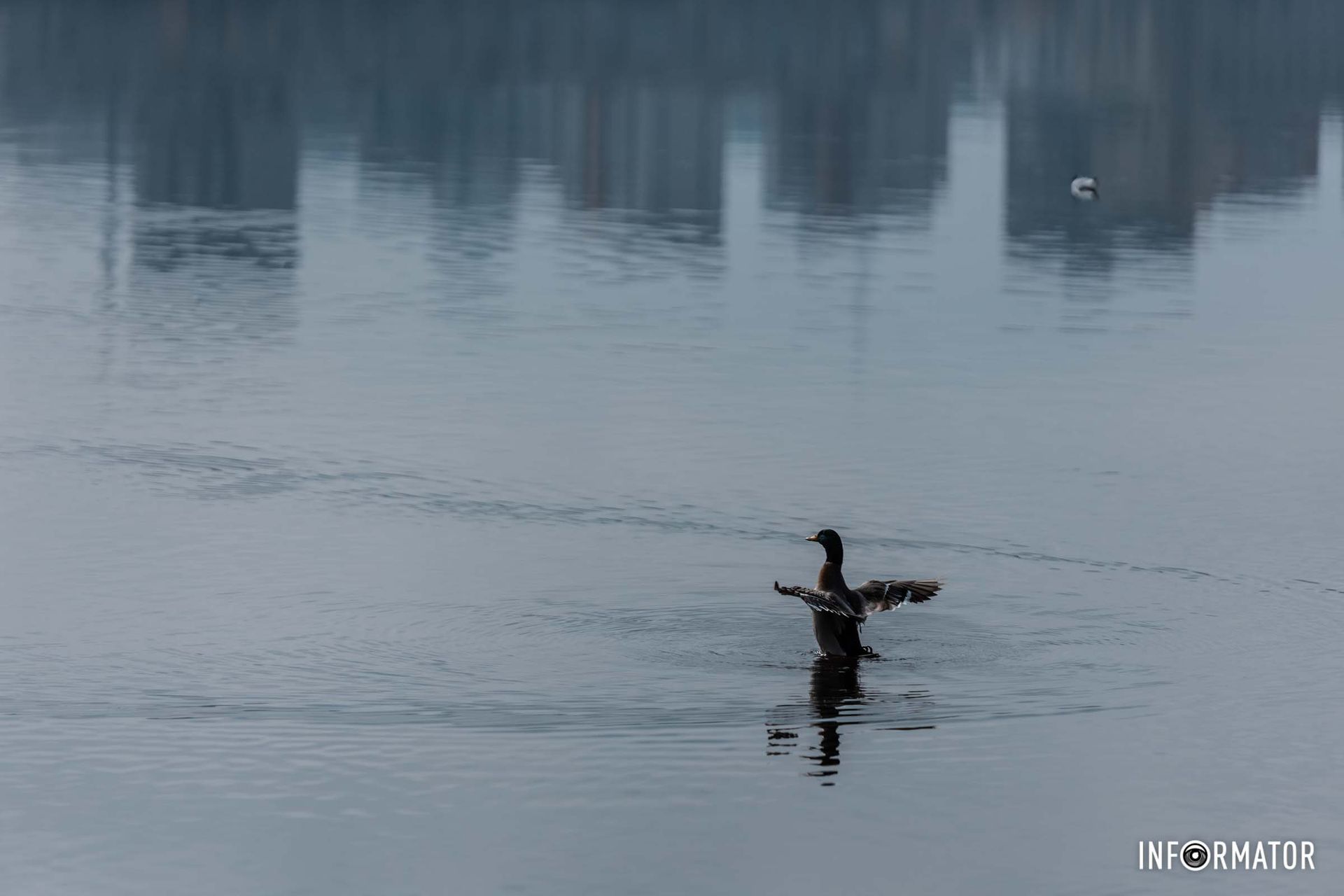 На Солнечной Набережной открывается невероятный панорамный вид на город На Солнечной Набережной открывается невероятный панорамный вид на город