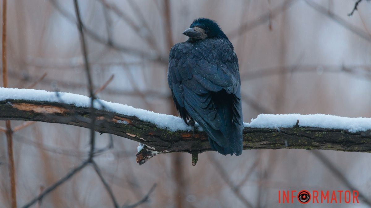 Утром возможен дождь: прогноз погоды в Днепре на 21 марта