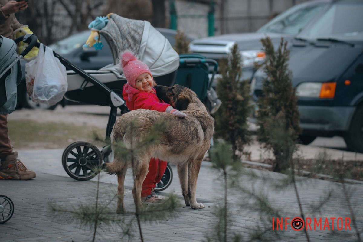 Жизнь продолжается, несмотря ни на что