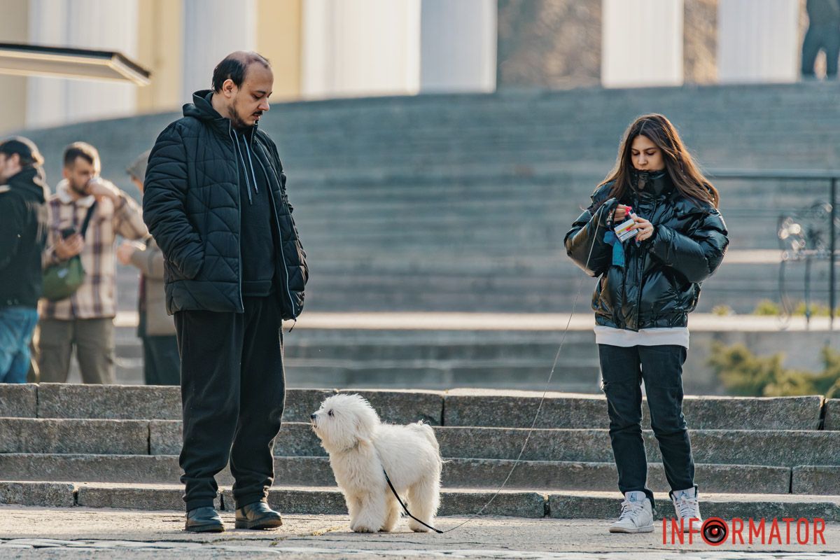 Ні, не забула! У вікно до мене