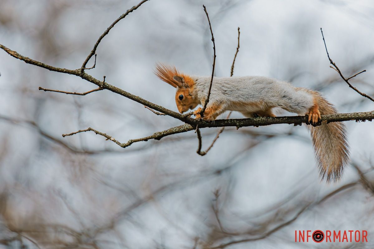 Для мене тільки дару не придбала,