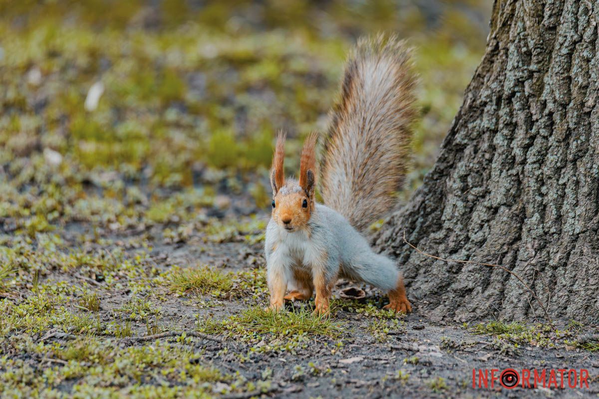 А я лежала хвора й самотна.