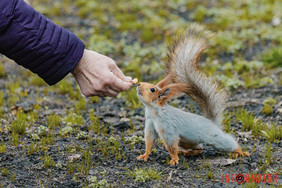 Все ожило, усе загомоніло –