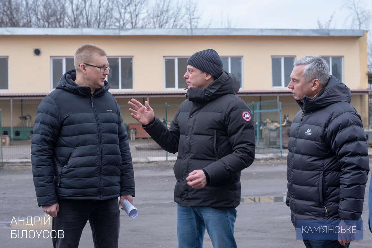 . Наразі там перебувають близько 600 тварин . Наразі там перебувають близько 600 тварин