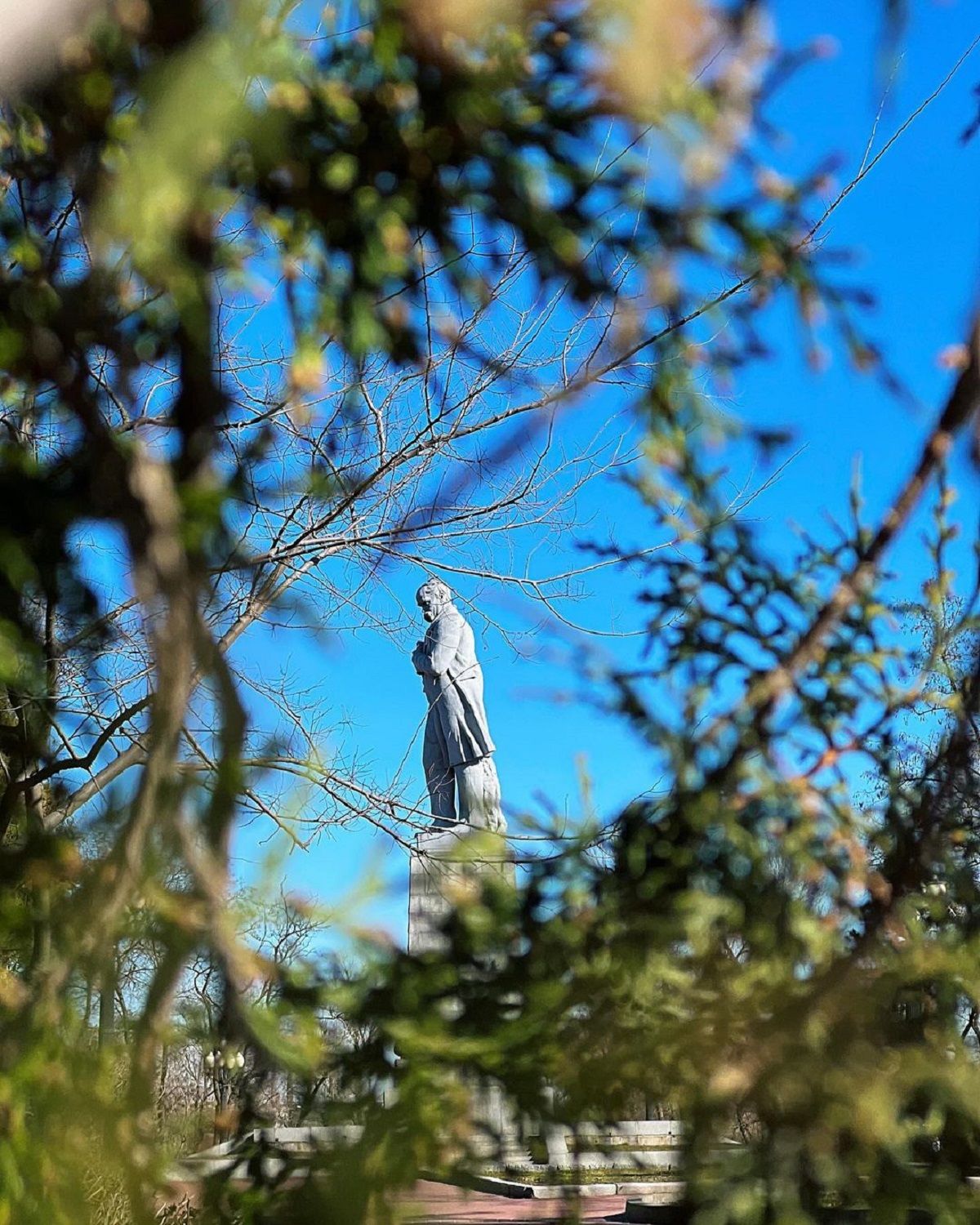 Фото: @alena_prihodkoo Фото: @alena_prihodkoo