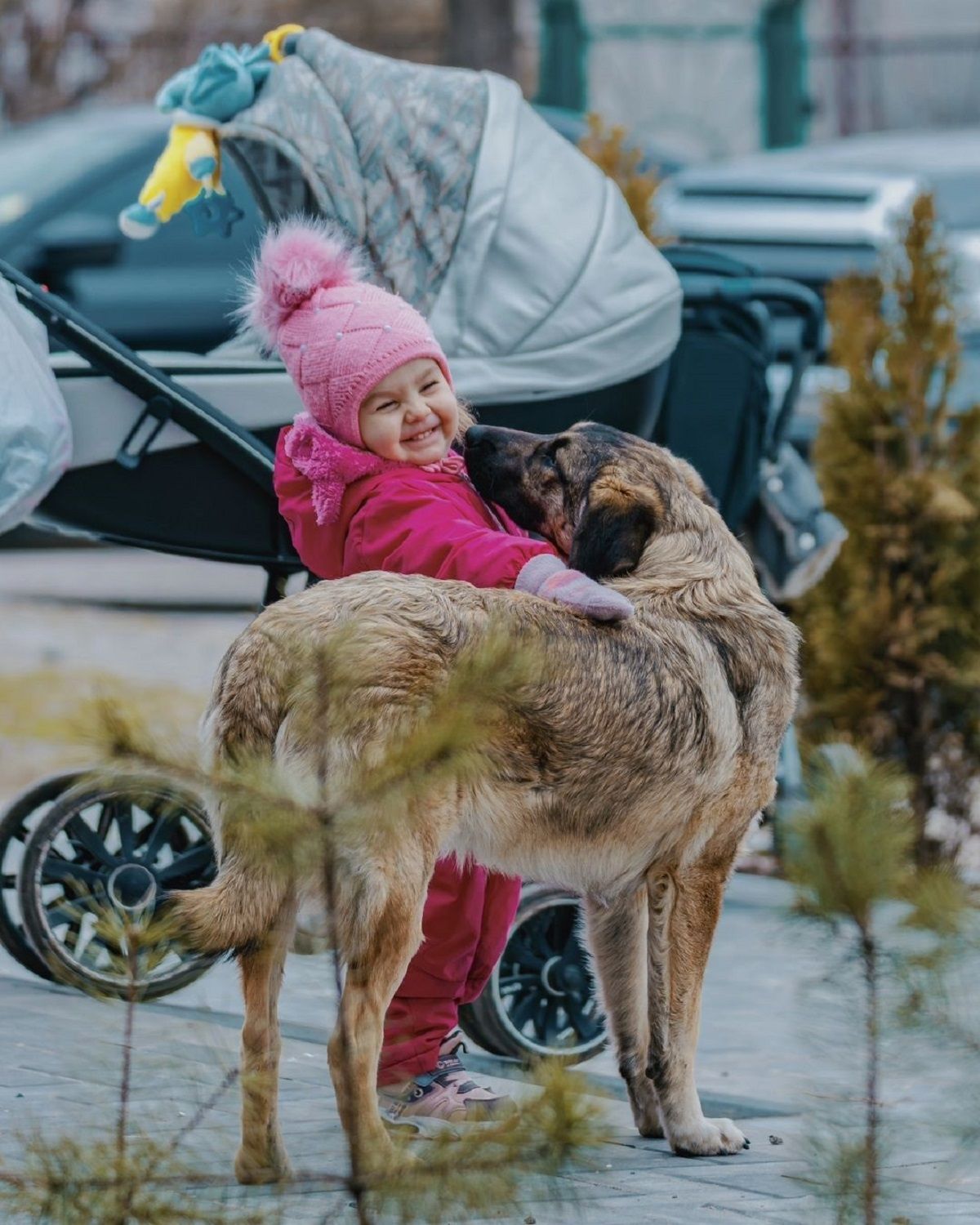 Фото: @dp.informator.ua Фото: @dp.informator.ua