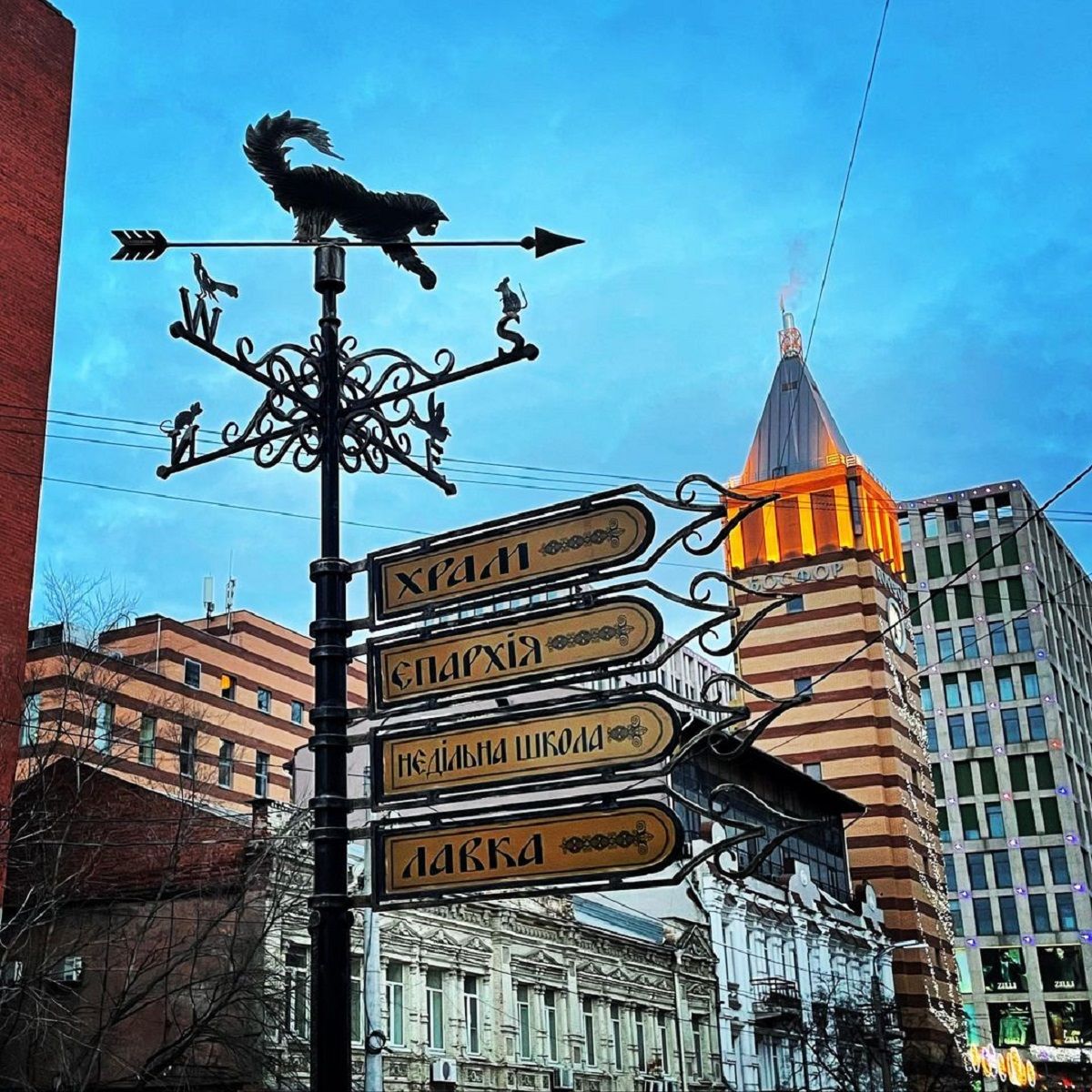 Фото: @spyrydonenkova Фото: @spyrydonenkova