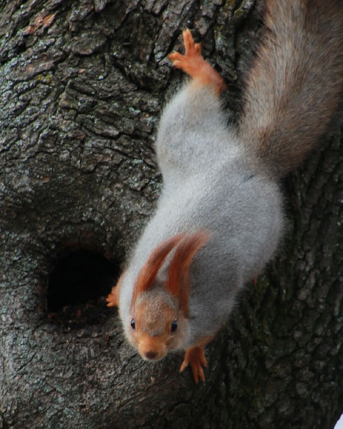 Фото: @streetphotodnepr Фото: @streetphotodnepr