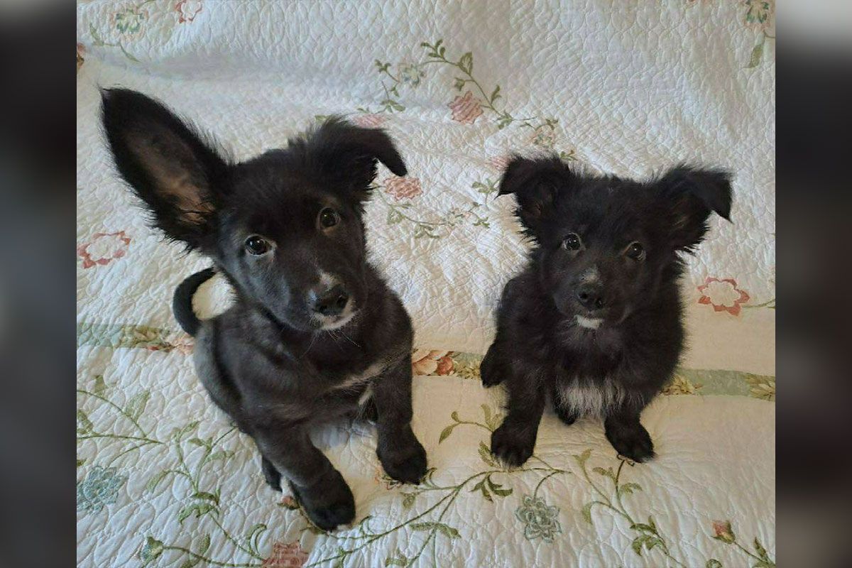 Вы только посмотрите на них