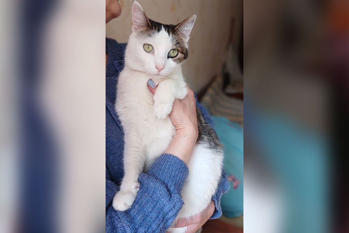 Она стала сиротой